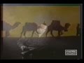 Mehrdad Asemani - Vatan