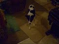 Timmy playing with ball