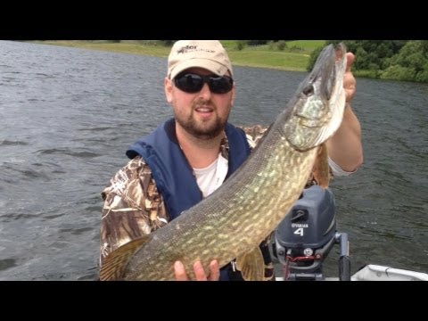 Predator fishing in the UK – Pike and Perch