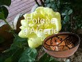 Poterie d\