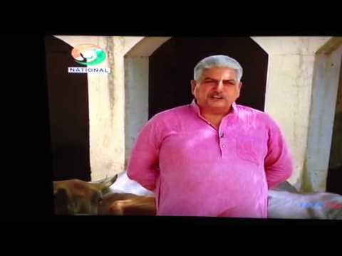 how to dairy farming in india