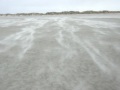St. Peter Ording mit Hunden