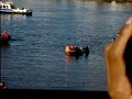Whale in River Thames