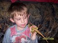 mais pogona et dragon d\
