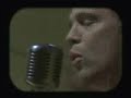 STRAPPING YOUNG LAD - Love? STRAPPING YOUNG LAD - Love?