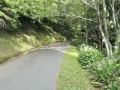 Kowhai Downhill - Wellington Botanic Gardens Go-Carting Kowhai Downhill - Wellington Botanic Gardens Go-Carting