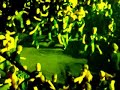 Sick of it all live - wall of death @ Persistence