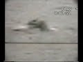 lochness nessie phenomenon