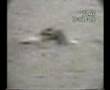Lochness nessie Phenomenon 2002 part 1