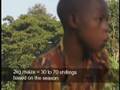 AIDS is Knocking Caxtons Story, AIDS (orphan) survivor!