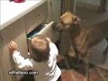 The Child Proof Drawer