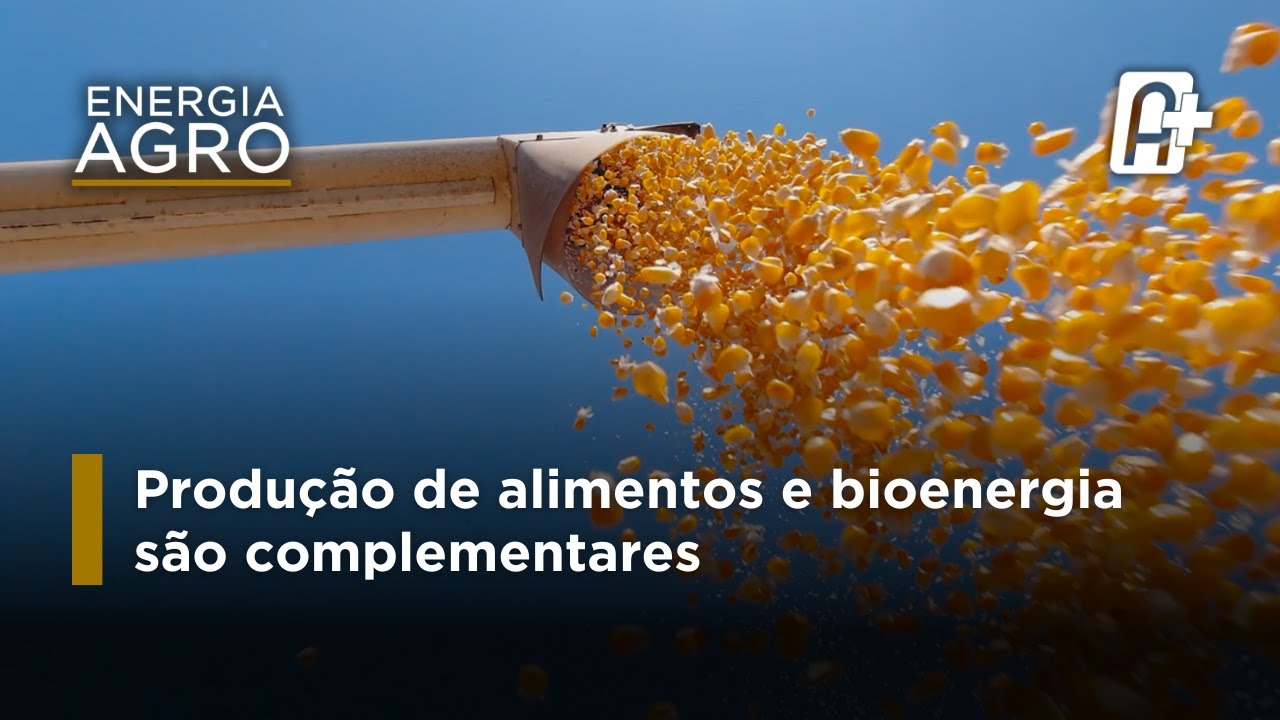 Produção de alimentos e bioenergia são complementares