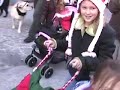 The Reindogs That Saved Christmas