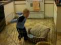 What Harry and Rascal Do not want to play?