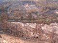 Esteiro