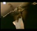 ahmet kaya kum gibi www.sarigazi.tv ahmet kaya kum gibi www.sarigazi.tv