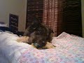 playtime with katy