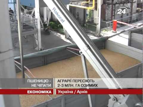 Смотреть видео