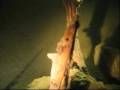 Historical shipwreck in lake