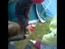 Bierbong