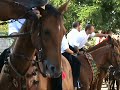  Loybillyrock ZoeRock Tenores Oniferi Sardinian Tradition Nuoro Barbagia