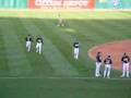 GOTTA-SEE-THIS-CATCH