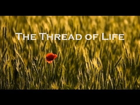 Oribel - Three people - Richard, a concert pianist/composer in Canada; Lee, a channeler/teacher/song writer/singer in the UK; Oribel, an interspecies communicator/pet...
