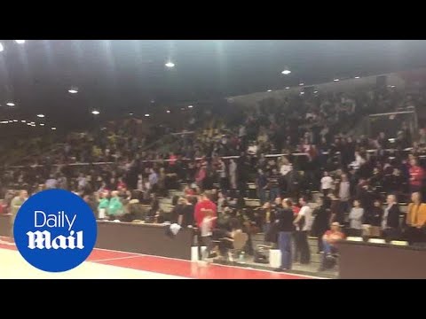動画