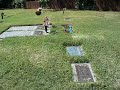 Layla would have been 10 this month