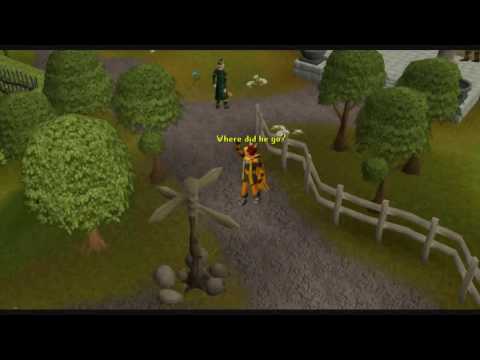 立派であるところ-- waldo runescapeスタイル