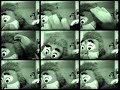 marco qui danse la tecktonic, parodie original, lol,