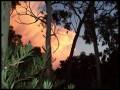 videos de En el Horizonte