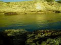 YÜZGEÇSİZ BALIKLAR YÜZGEÇSİZ BALIKLAR