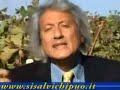 Mafia da 100 mld di Euro. Gestito con i pizzini? Parte I Mafia da 100 mld di Euro. Gestito con i pizzini? Parte I