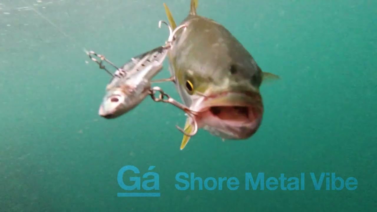 Shore Metal Jig | Galápagos(ガラパゴス)公式 | 釣り Shore Metal Jig | Galápagos(ガラパゴス)公式 | 釣り