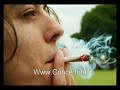 Opinion Marihuana FEC