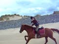 Ireland beach gallops - The girls