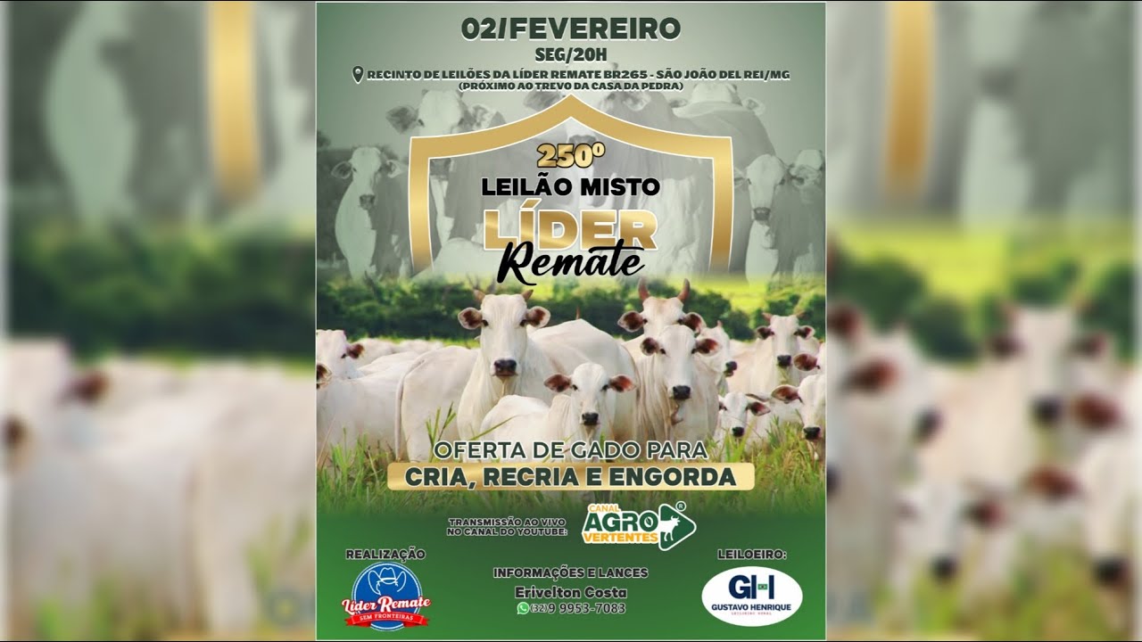 250º LEILÃO MISTO LÍDER REMATE - 02/02/2026