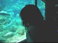 Aaron North observes fish