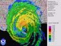 Rooftop Diva - Images of Katrina