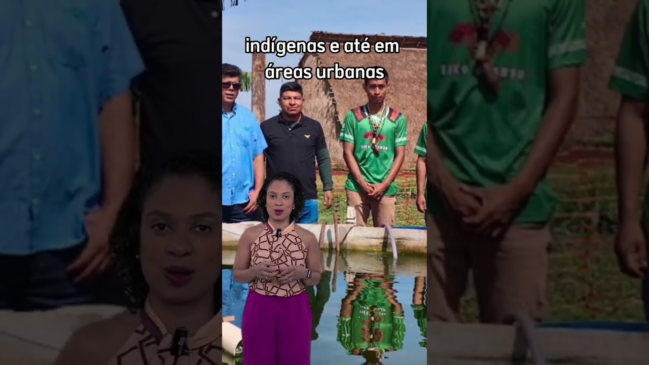 Sisteminha Embrapa