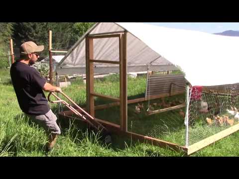 Moving the Chicken Tractor | Feeder and Waterer System
