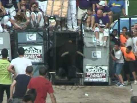 Lo Mejor de Toros y a lo Loco 2011 (Cogidas, Encierros, Bous..)