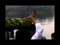 chatt-puja.html