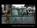 perro goool