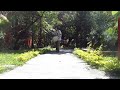 Click here to watch this video japa walk