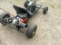 Briggs & Stratton Animal Go-Kart