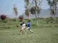 tochito oaxaqueño