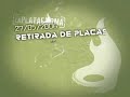 Accion de memoria historica
