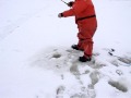 Ice Fishing. Ice Fishing.